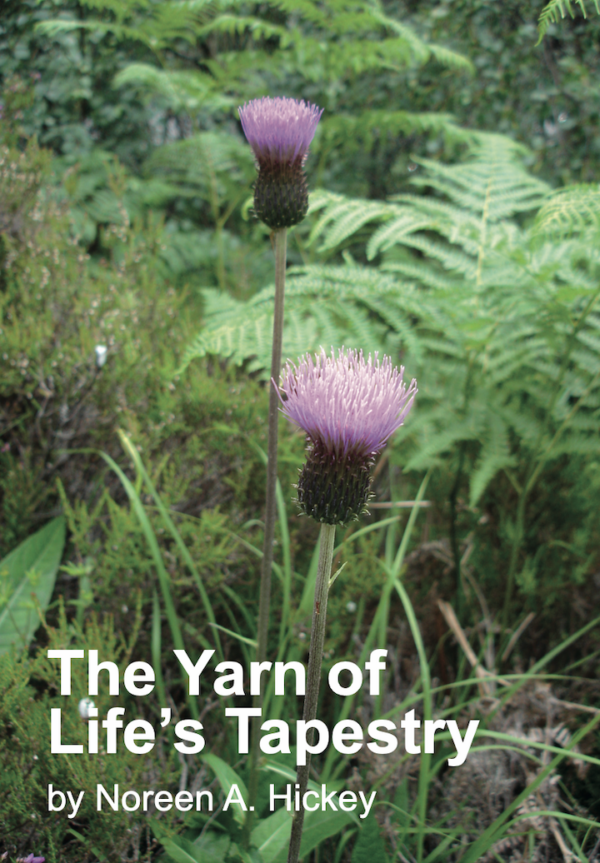 The Yarn of Life's Tapestry